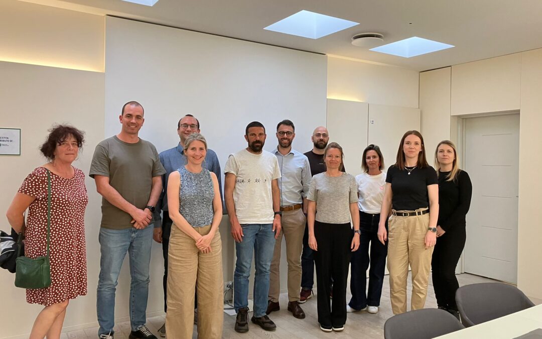 SMART-AGE Consortium Meeting in Milan